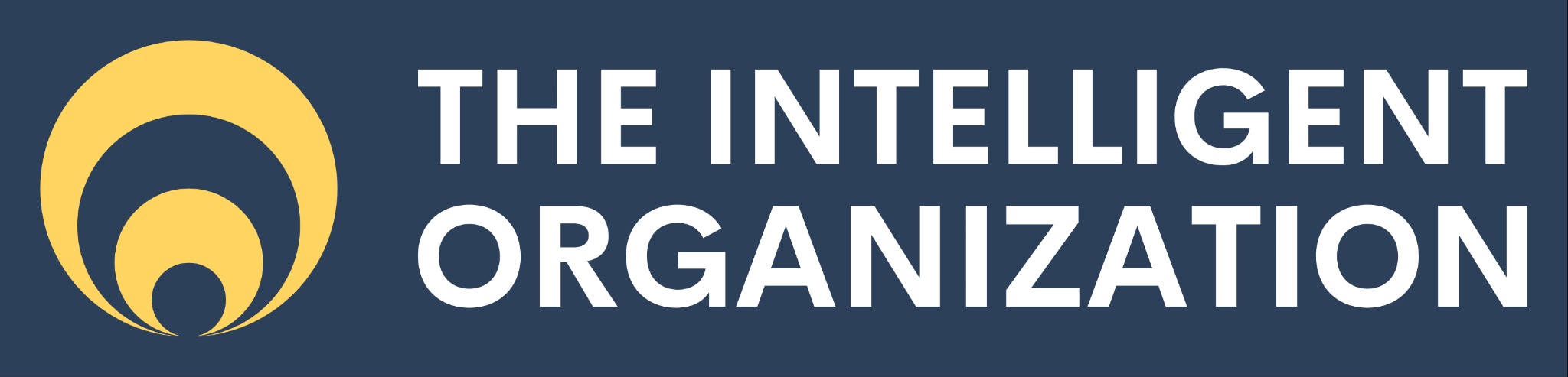 The Intelligent Organization